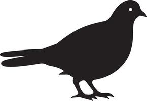 Pigeon silhouette illustration blanc Contexte vecteur