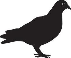 Pigeon silhouette illustration blanc Contexte vecteur