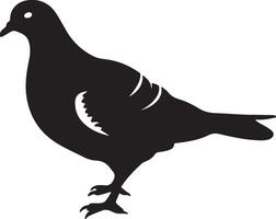 Pigeon silhouette illustration blanc Contexte vecteur