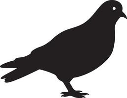 Pigeon silhouette illustration blanc Contexte vecteur