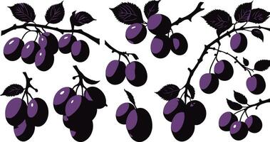 ensemble de prune image silhouette, prune illustration, prune signe vecteur