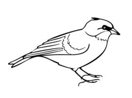 minimaliste oiseau contour illustration vecteur