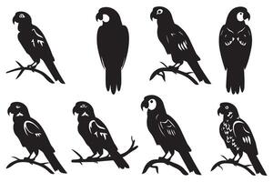 perroquet oiseau silhouette noir vecteur