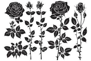 Rose silhouettes noir bourgeons et tiges de des roses pochoirs isolé sur blanc Contexte vecteur