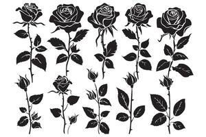 magnifique Rose fleurs silhouette ensemble isolé sur blanc Contexte vecteur