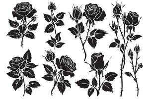 Rose silhouettes noir bourgeons et tiges de des roses pochoirs isolé sur blanc Contexte vecteur