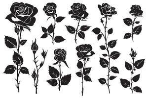 Rose silhouettes noir bourgeons et tiges de des roses pochoirs isolé sur blanc Contexte vecteur