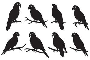 noir silhouette ensemble de perroquet sur une blanc Contexte vecteur