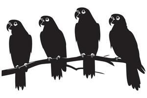 noir silhouette ensemble de perroquet sur une blanc Contexte vecteur
