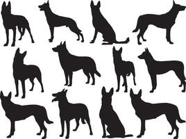 Belge milinois chiens silhouette sur blanc Contexte vecteur