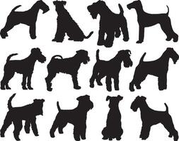 gallois terrier chiens silhouette sur blanc Contexte vecteur