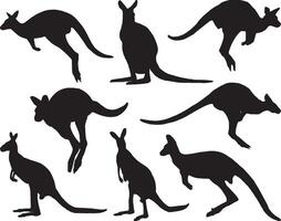 wallaby silhouette sur blanc Contexte vecteur