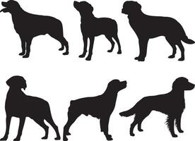 Bretagne chiens silhouette sur blanc Contexte vecteur