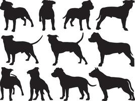 Staffordshire chiens silhouette sur blanc Contexte vecteur