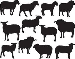 mouton silhouette sur blanc Contexte vecteur