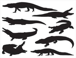 alligators silhouette sur blanc Contexte vecteur