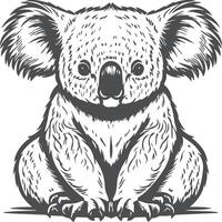 koala coloration page pour des gamins Stock illustration. animal contour pour coloration livre vecteur