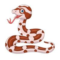 dessin animé serpent des blés isolé sur blanc Contexte vecteur