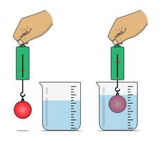 peser le Masse de un objet dans l'eau en utilisant une printemps équilibre vecteur