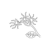 Dessin au trait continu unique beauté hamamélis frais pour l'impression d'affiches d'art de décoration murale à la maison. concept de plante noisette claquante décorative pour carte florale. Une ligne moderne dessiner illustration vectorielle de conception vecteur