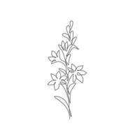 un dessin au trait continu beauté frais polianthes tuberosa pour l'impression d'affiches murales d'art de décoration intérieure. concept de fleur de tubéreuse décorative pour carte d'invitation. illustration vectorielle de dessin à une seule ligne vecteur