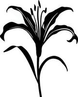 impressionnant fleur silhouette illustration vecteur