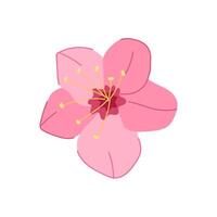 la nature Sakura Cerise fleur dessin animé illustration vecteur