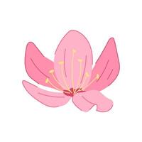 rose Sakura Cerise fleur dessin animé illustration vecteur