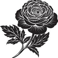 magnifique fleur dans noir et blanc couleurs. illustration pour votre conception vecteur