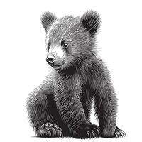 mignonne animal ours lionceau séance main tiré esquisser dans griffonnage style illustration vecteur