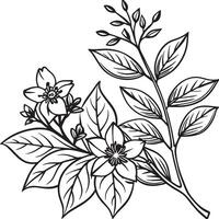 illustration de fleurs et feuilles dans noir et blanc pour coloration livre vecteur
