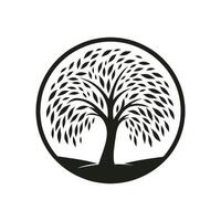 sérénité symbole icône concept de respectueux de la nature saule arbre vecteur