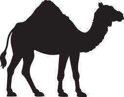 plat conception chameau silhouette, chameau graphique icône. chameau noir signe isolé sur blanc Contexte. chameau symbole de désert. illustration vecteur