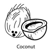 concepts de noix de coco à la mode vecteur