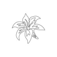 un dessin au trait continu de beauté vivaces fraîches lilium pour logo de jardin. Fleur de lys véritable décorative imprimable pour affiche de décoration murale. illustration vectorielle de conception de dessin à une seule ligne moderne vecteur