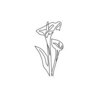 un dessin au trait continu beauté fraîche zantedeschia pour impression de décoration murale. fleur de lys arum décorative imprimable pour carte d'invitation de mariage. illustration vectorielle de conception de dessin à une seule ligne moderne vecteur