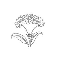 un dessin au trait continu beauté célosie fraîche du cerveau pour le logo du jardin. fleur décorative imprimable en forme de crête de coq pour la décoration murale affiche imprimée. illustration vectorielle de conception de dessin à une seule ligne moderne vecteur