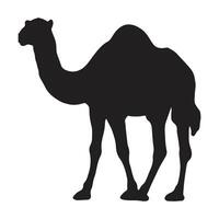 chameau avec silhouette vecteur