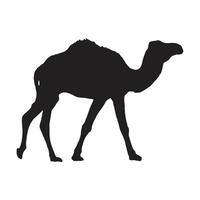 chameau avec silhouette vecteur