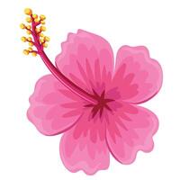 main tiré hibiscus fleur vecteur
