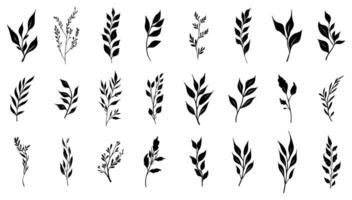 ensemble de silhouette branches avec feuille et tige. feuille la nature plante et été élément collection isolé blanche. décoration signe botanique et noir floral forêt. dessin jardin Couper dehors. vecteur