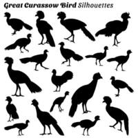 ensemble de silhouette des illustrations de génial cacahuète oiseau vecteur