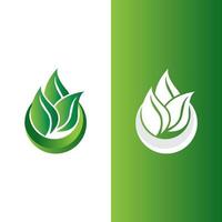 logos de l'écologie des feuilles d'arbre vert vecteur