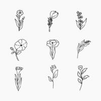 fleurs griffonnage ligne illustration vecteur