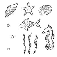 mer la vie ensemble. main tiré mer coquilles, étoile, cheval et poisson. des illustrations de algues, laminaires algues et l'eau bulles dans griffonnage style. esquisser Marin sous-marin conception éléments. vecteur