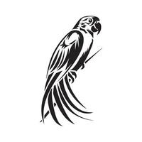 perroquet conception image. perroquet oiseau de paradis sur blanc Contexte vecteur