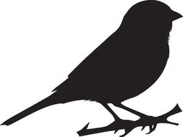 moineau silhouette illustration sur blanc Contexte. moineau logo. vecteur