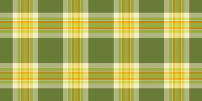 dépouillé Contexte en tissu , clairsemé plaid tartan vérifier. la perfection modèle textile sans couture texture dans citron vert et pastel couleurs. vecteur