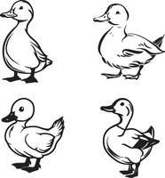 noir et blanc contour de canard vecteur