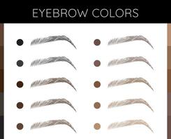 les sourcils couleurs graphique illustration vecteur